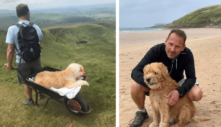 "A Heartwarming Farewell: A Man and His Beloved Dog Share One Last Adventure Together."